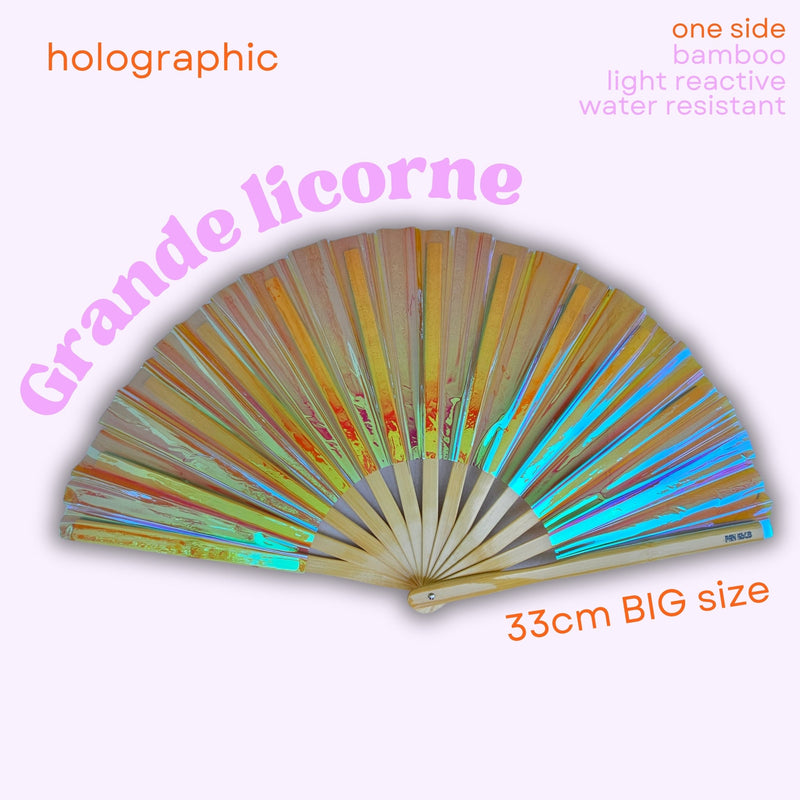 Holographiques